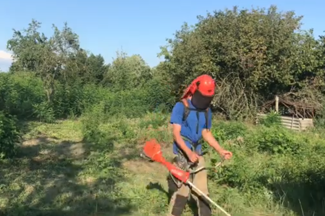  Fűkaszálás Szegeden Topmaszigeten